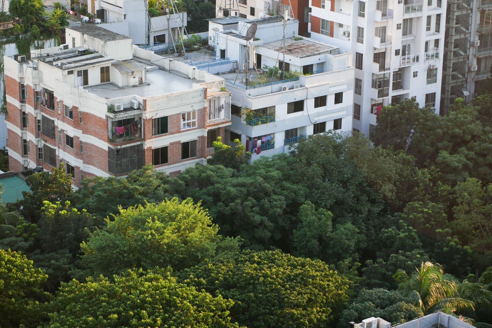 The Future of Urban Green Spaces: Reimagining Indian Cities with Nature Integration